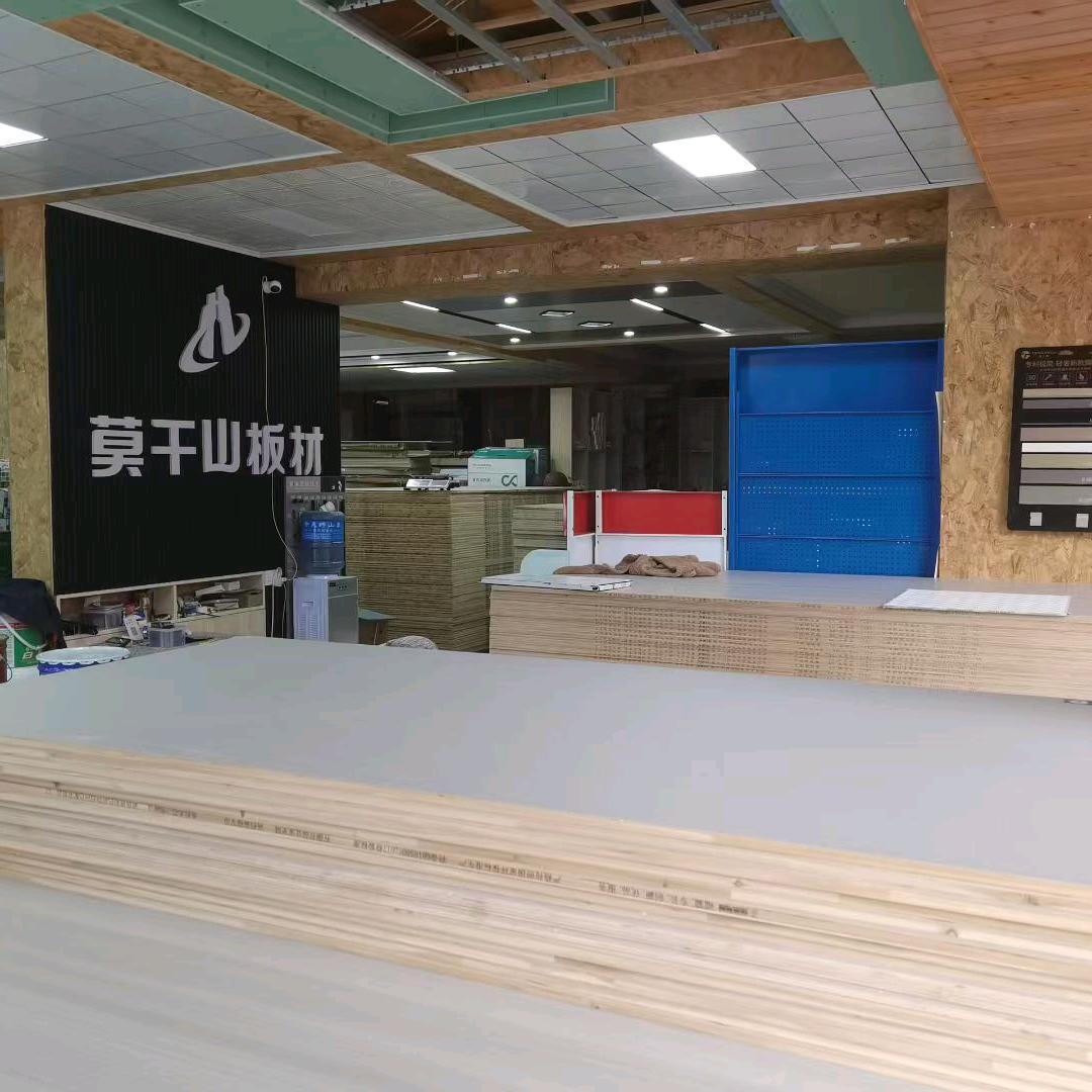 威信莫干山建材欧蓓莎店