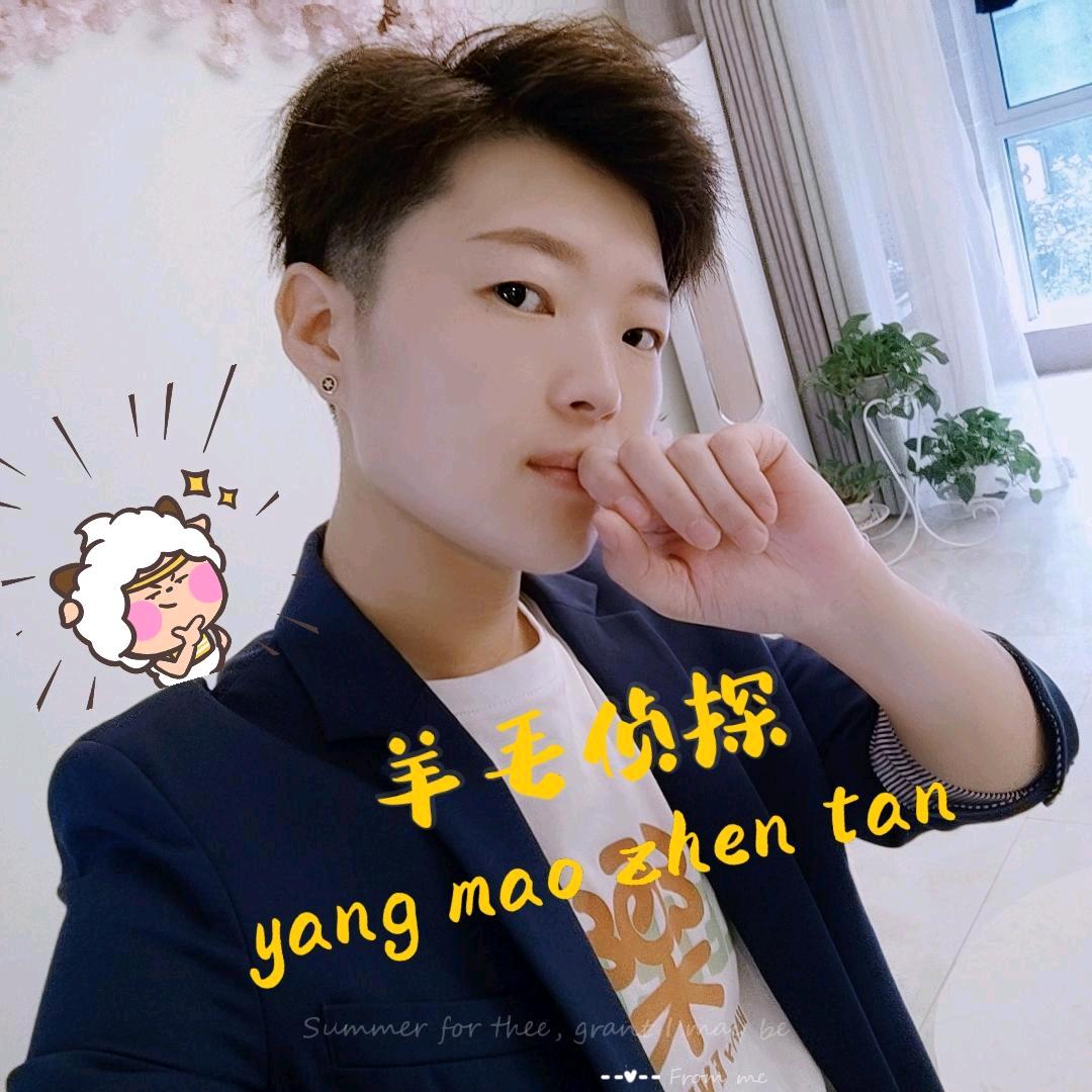 羊毛侦探