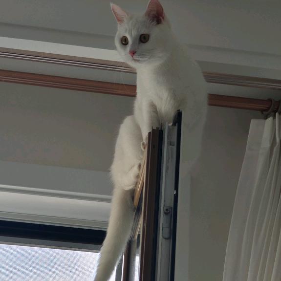 信仰🇨🇳实时关注