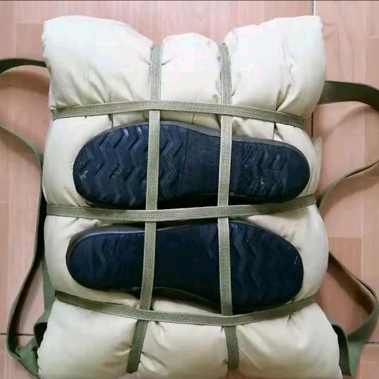 大丹
