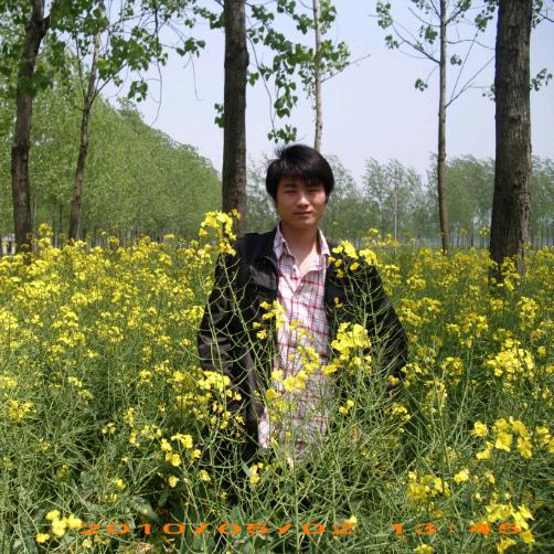 小磊