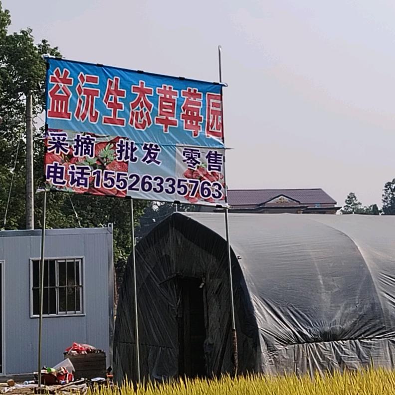 益沅生态草莓园🍓🍓开心最重要🤣🤣