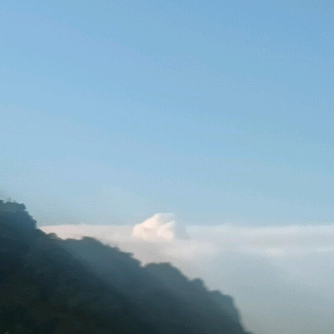 ✨꧁葬᭄情 ꧂💫
