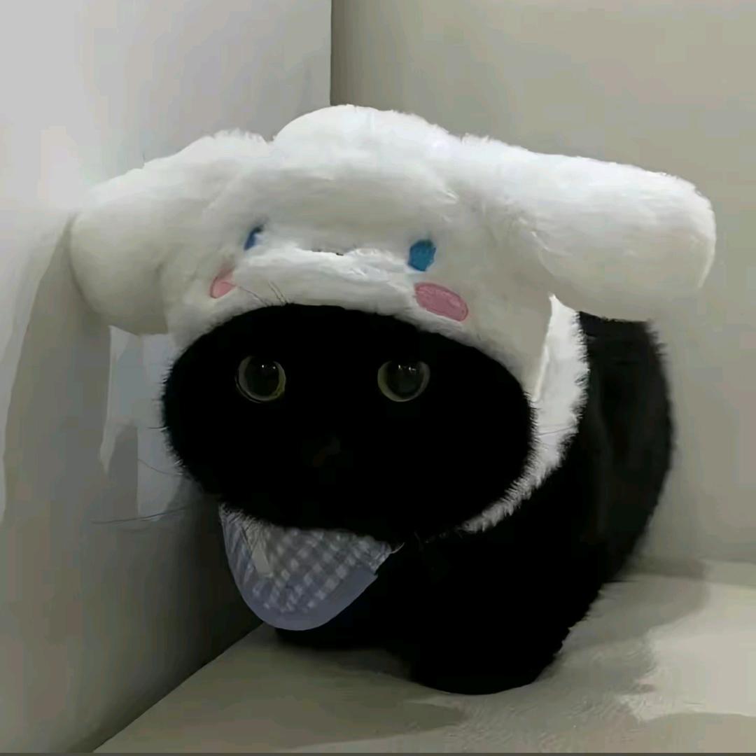 爱喝ad钙