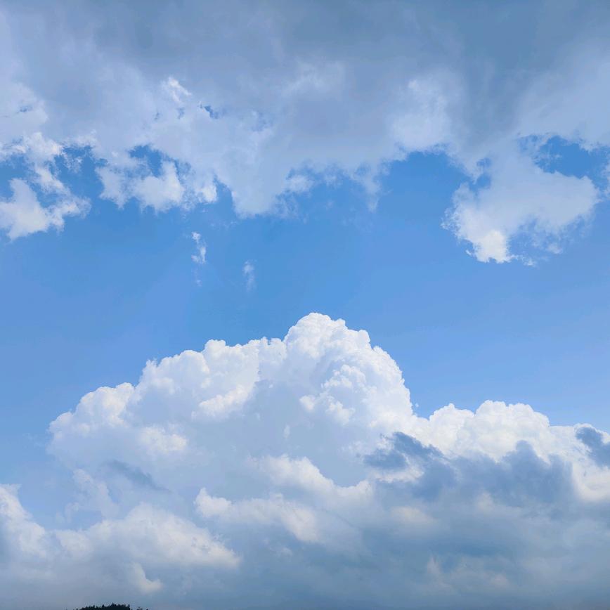 悄悄做个梦给你💫