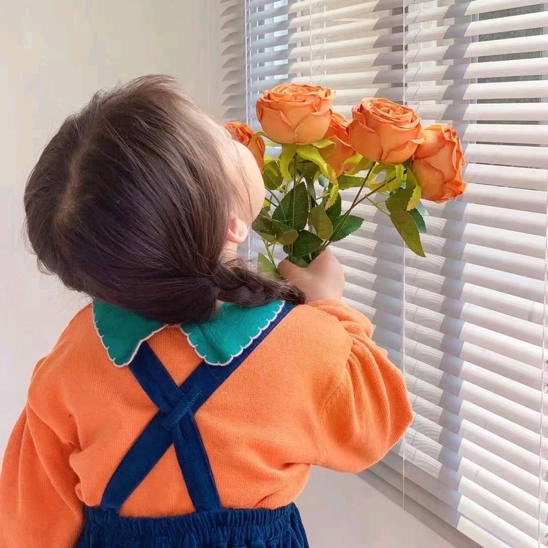 是小宝吖🧸