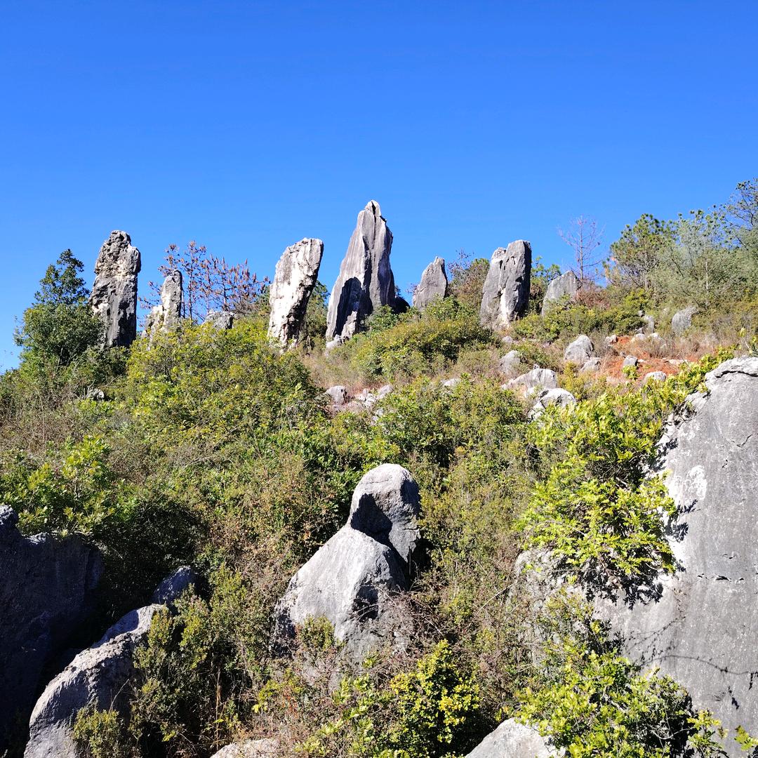 大胡，旅居生活