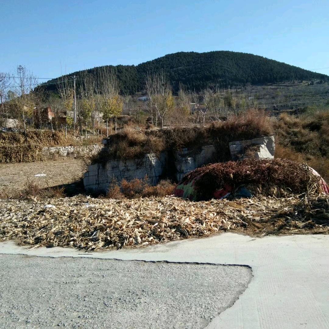 闪闪红星（红星哥）