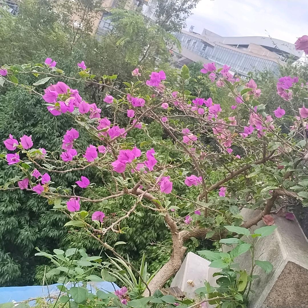 感动自己