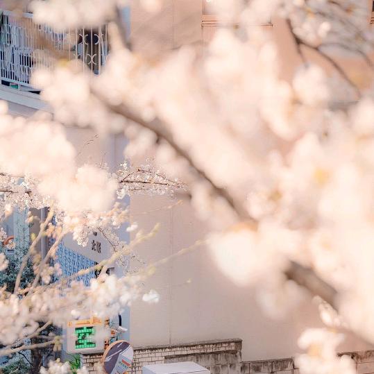 🌈码头还有薯条吗