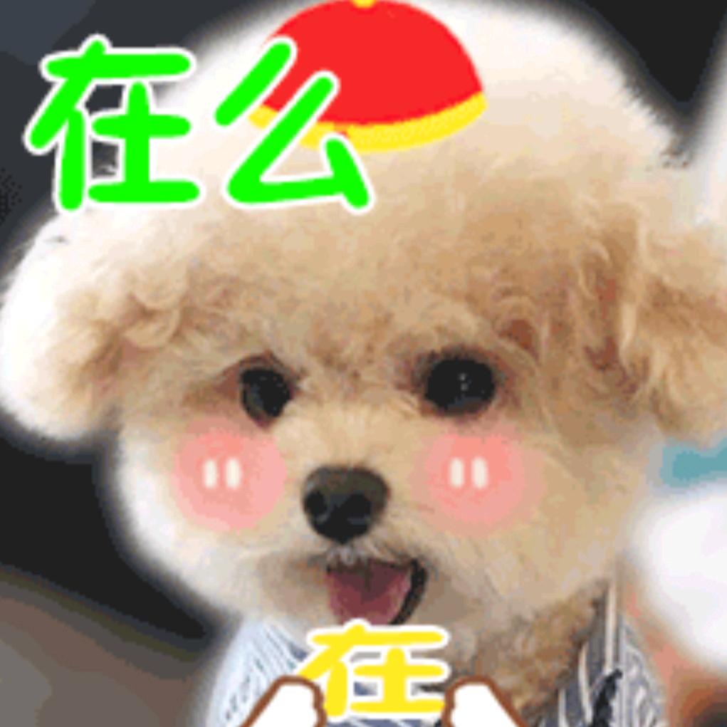 山咔咔的小辣椒