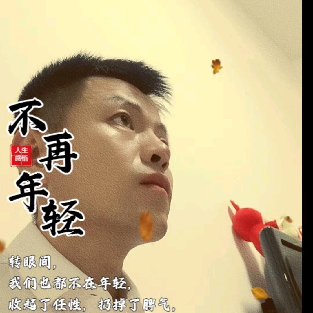 飞