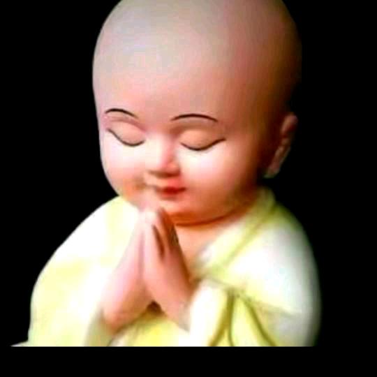 ㅤ ㅤ‍‍    ‍