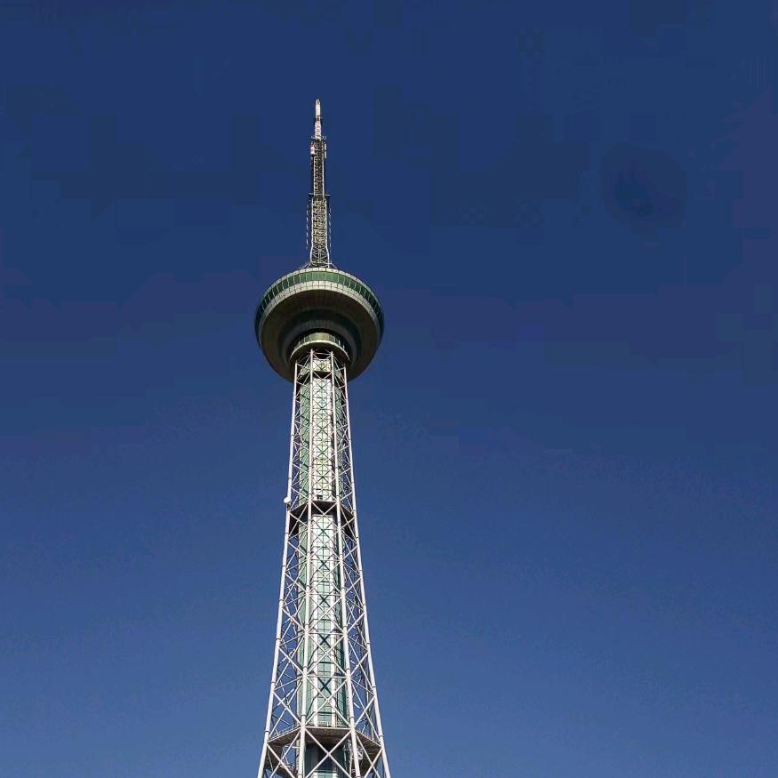 鱼哥聊失业负债