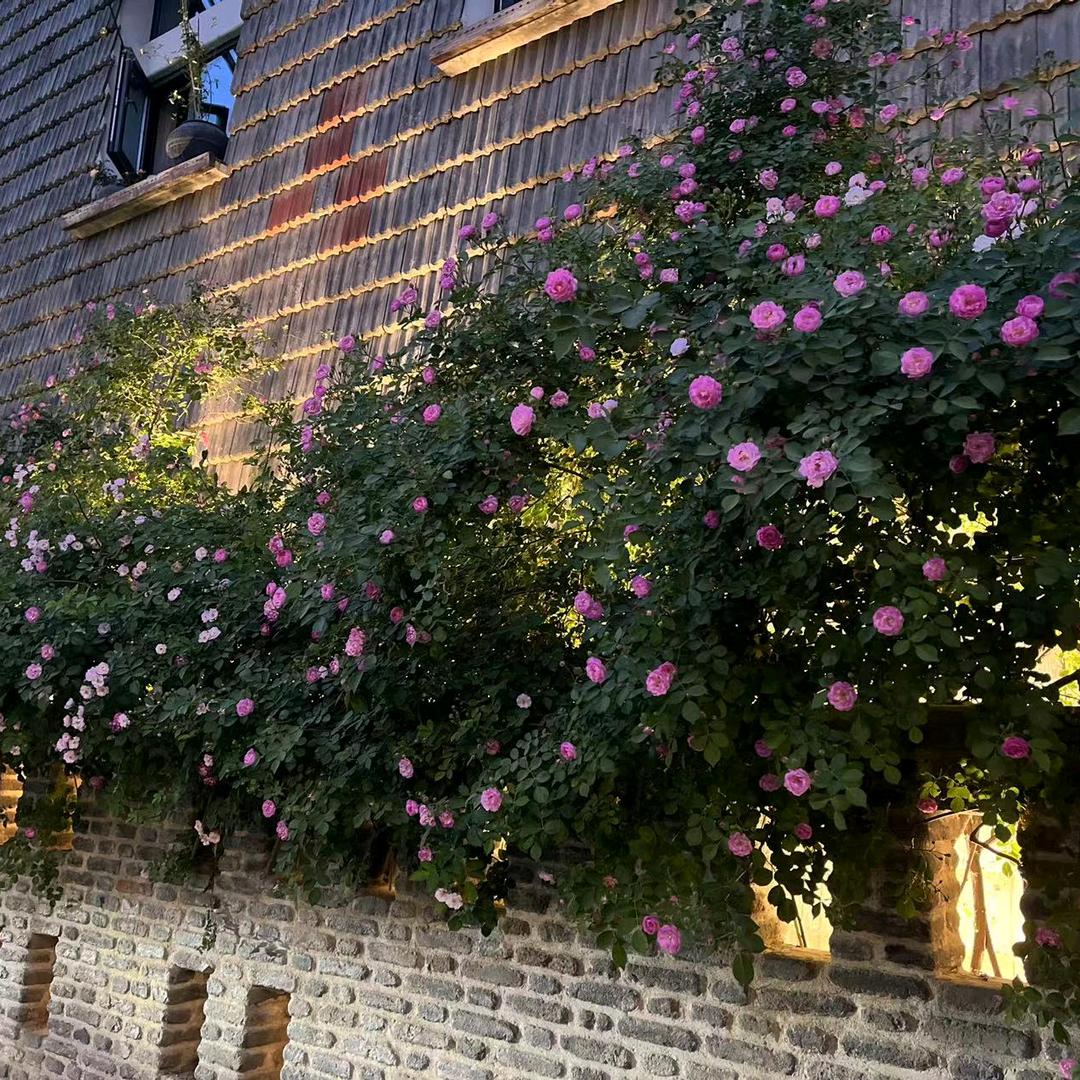 孙芝俊