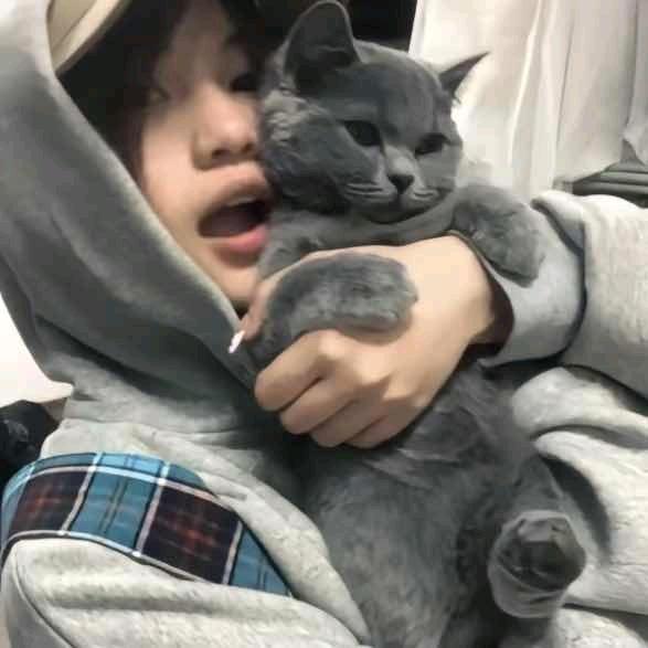 ——