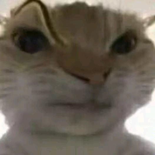 。头像