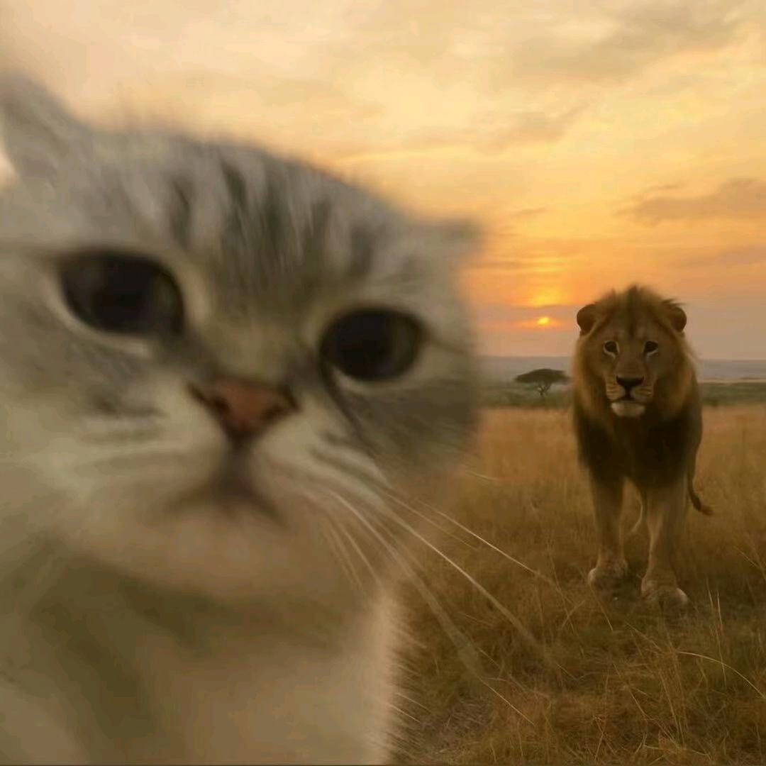 阿六(三角洲行动)