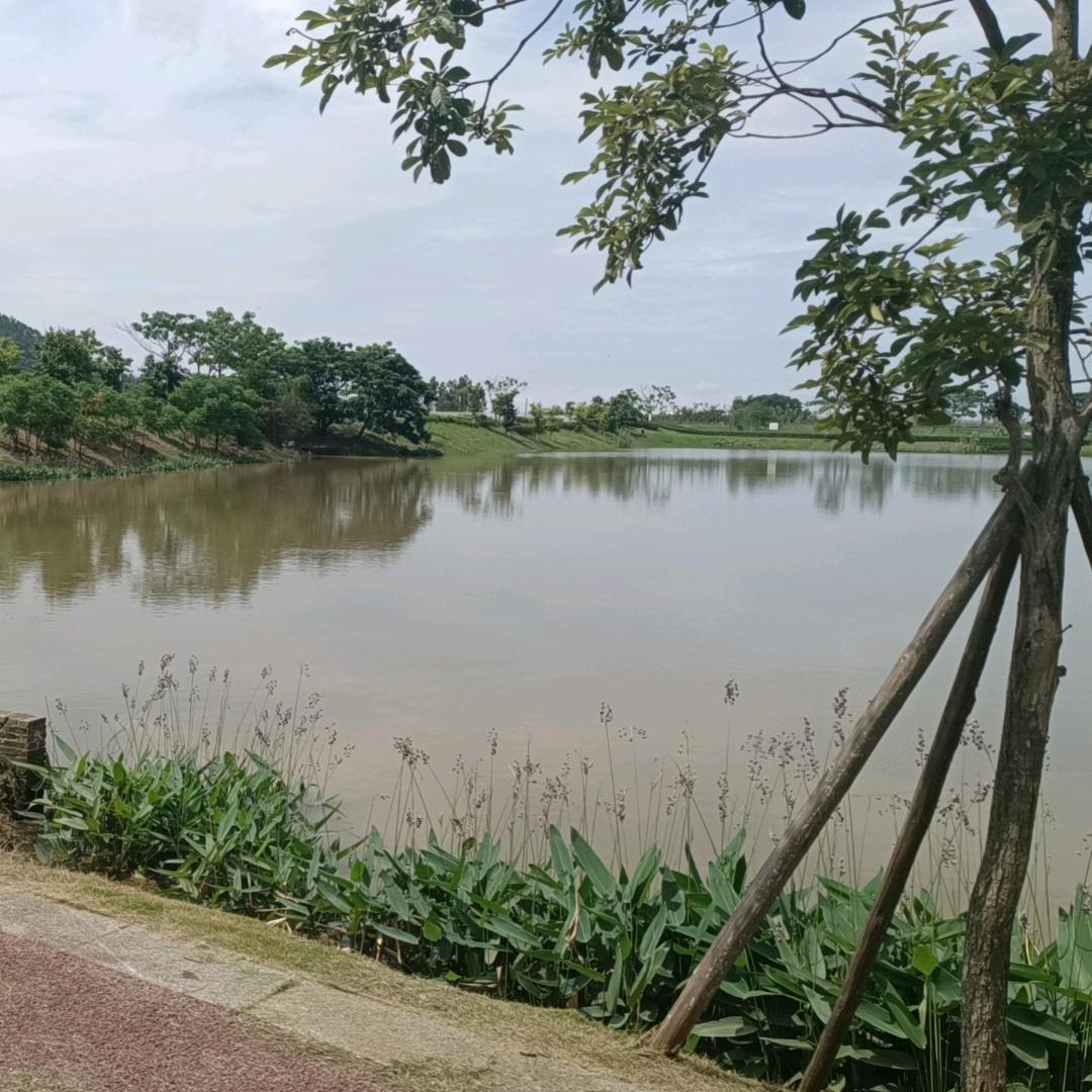 小英雄