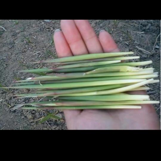 80，90后解压会友