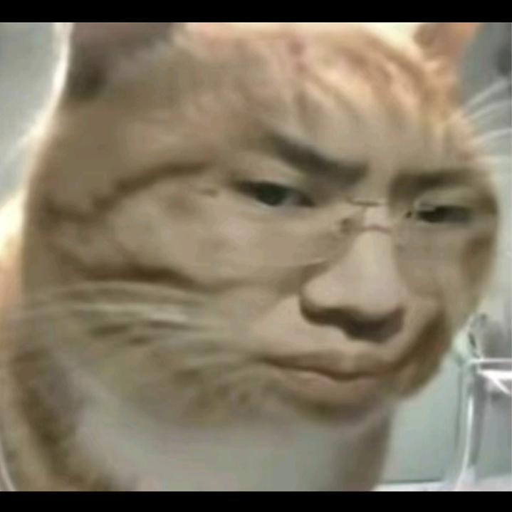 退网中