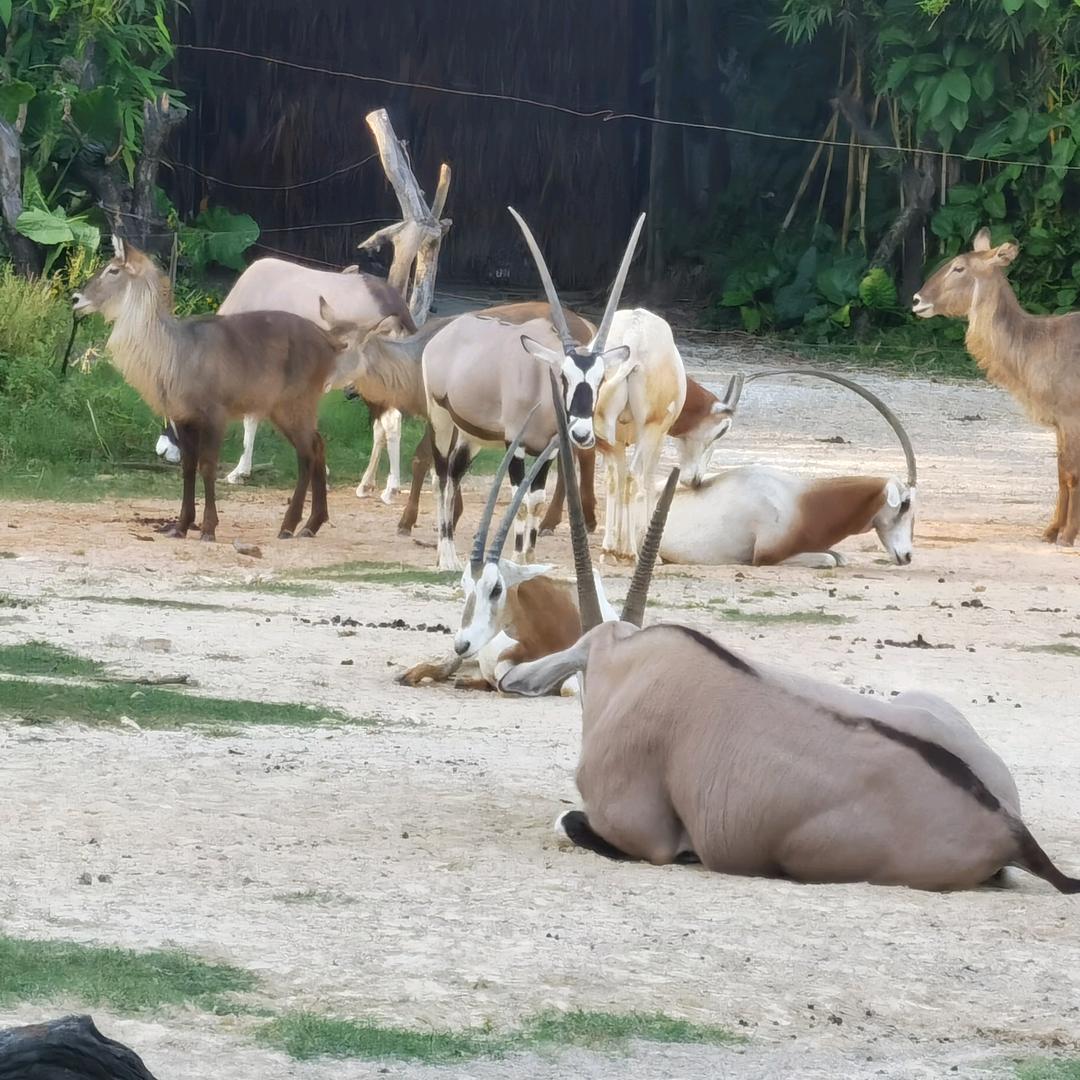 CNC精密加工