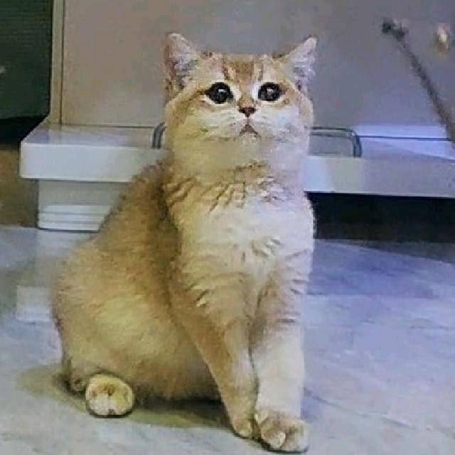 是sunny不是蒜泥～