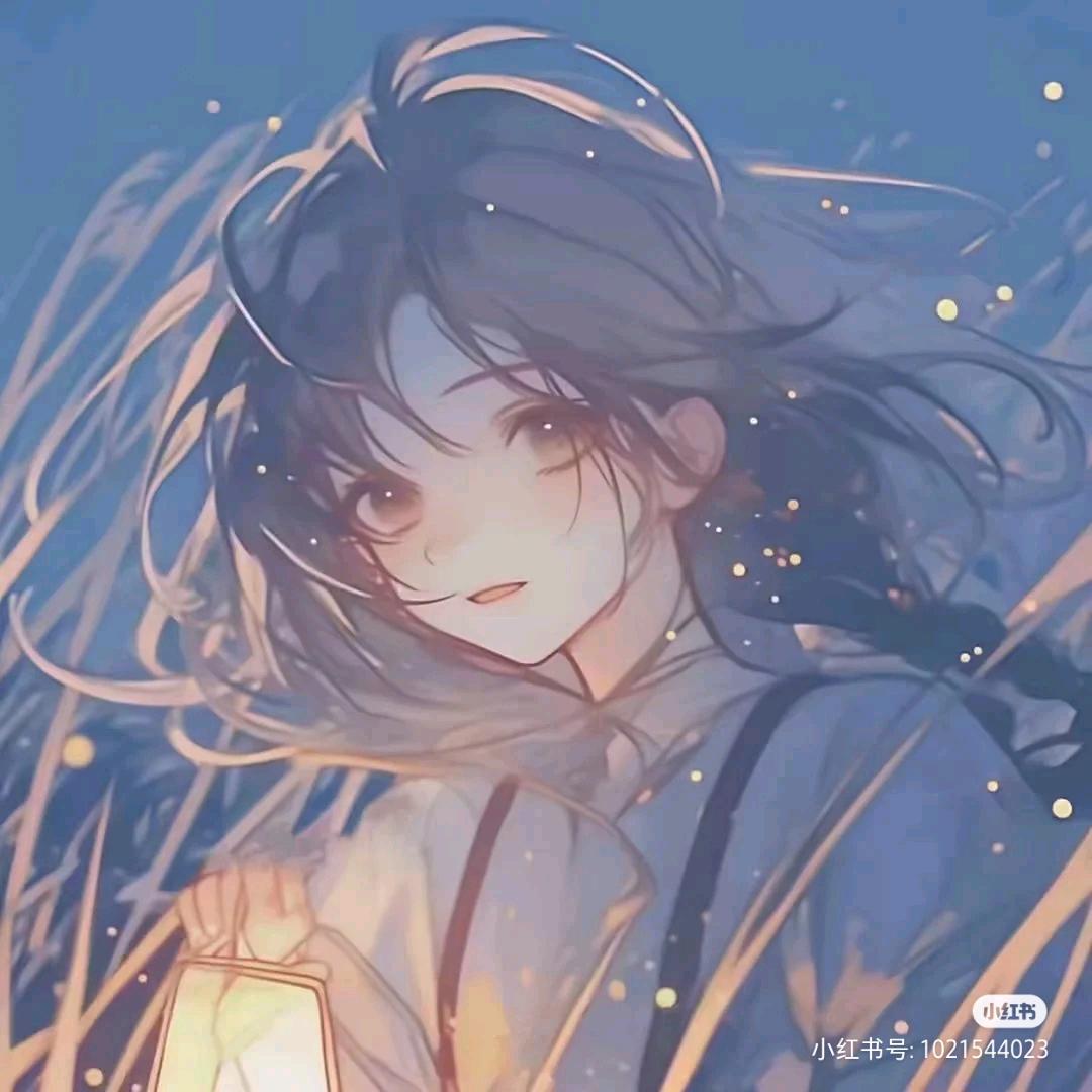 雾里观光