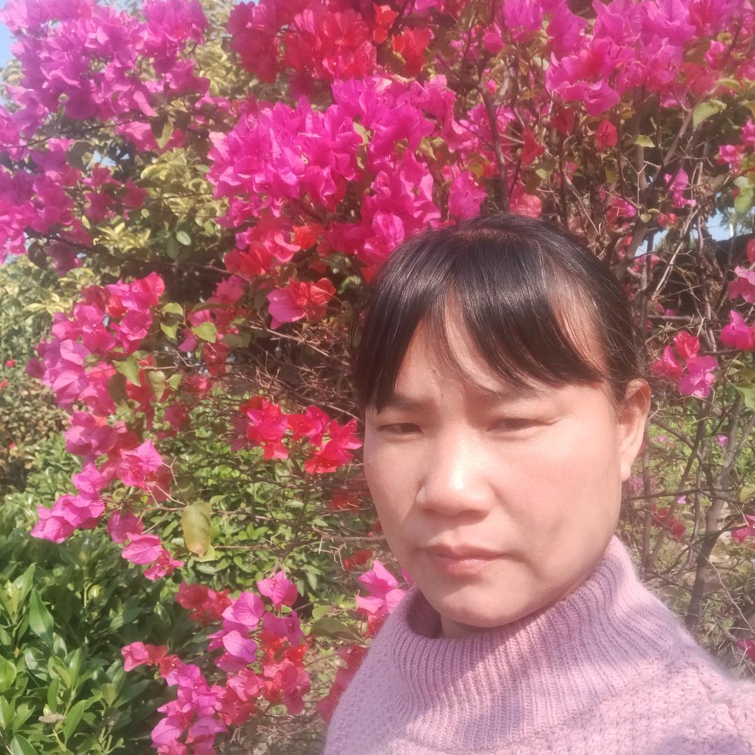 佳佳乐