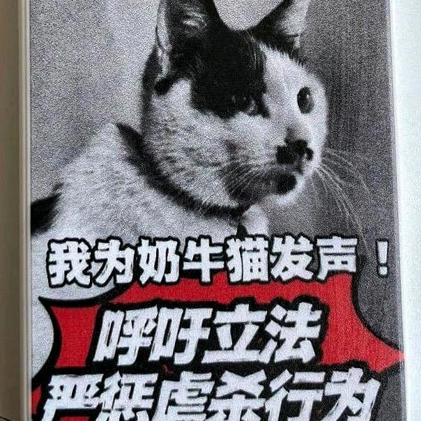 徐志辉/田新建/蔡晨曦