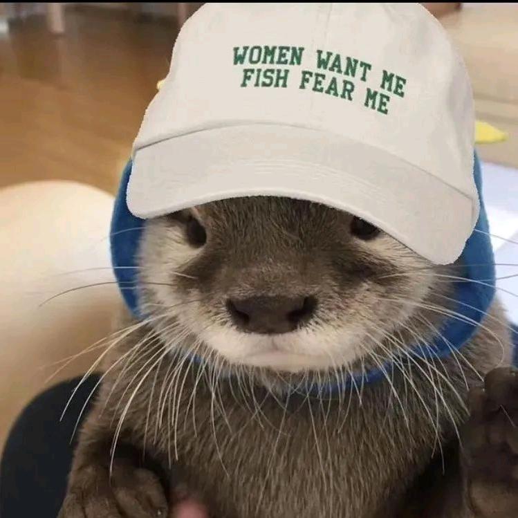 (◍˃̶ᗜ˂̶◍)✩