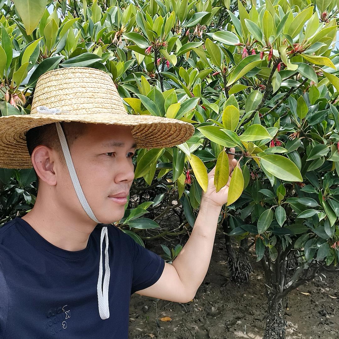 农村杨哥