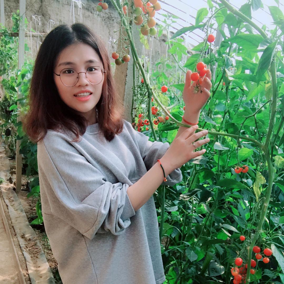静葔椛开