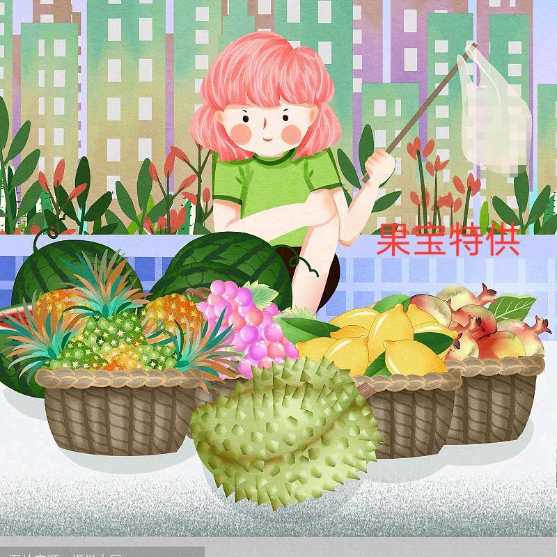 果宝