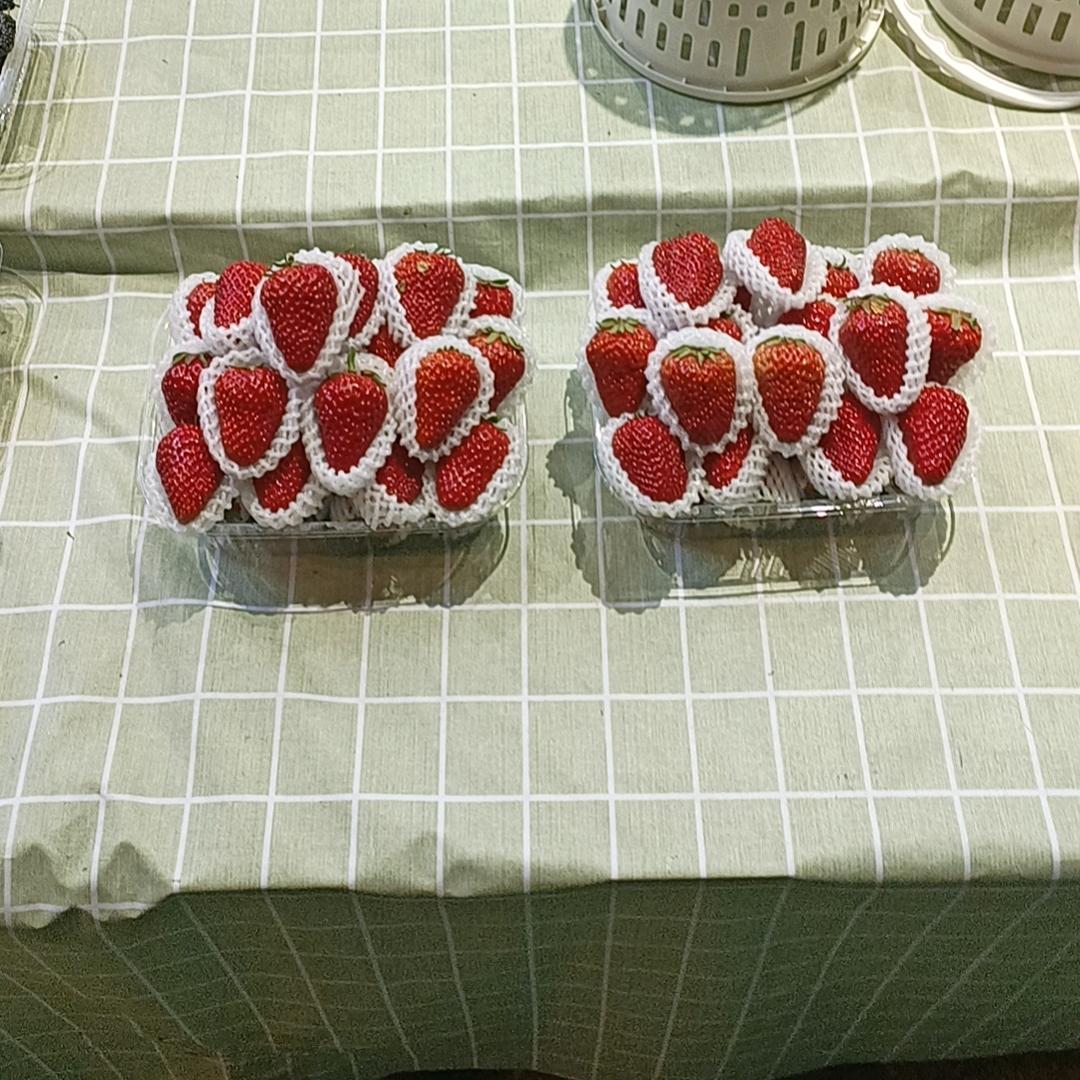 阳光总在风雨后