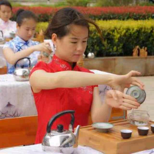 爱上普洱