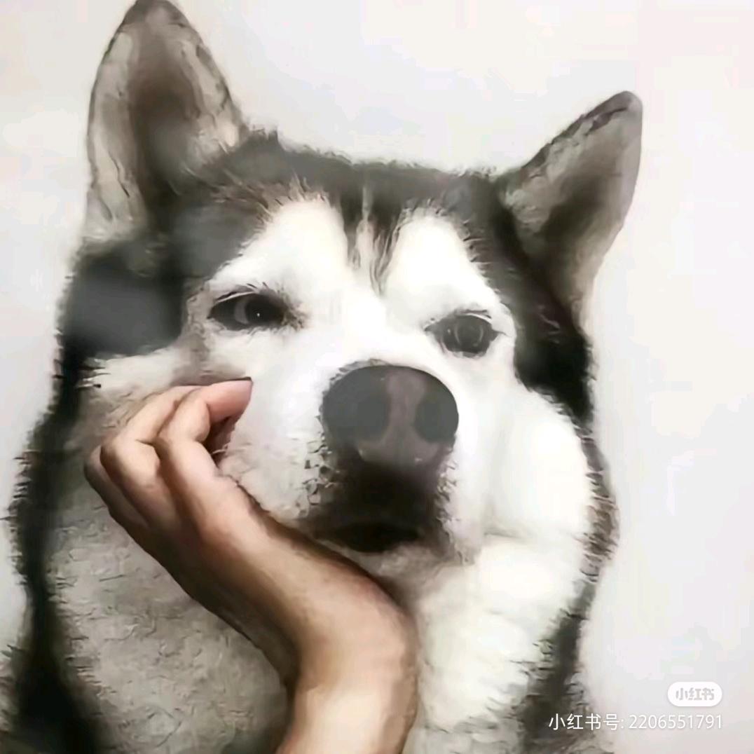 一見即安