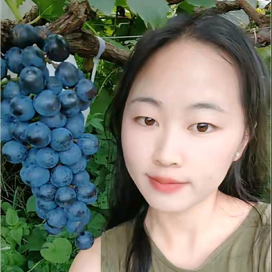小陈乡村日记🍀