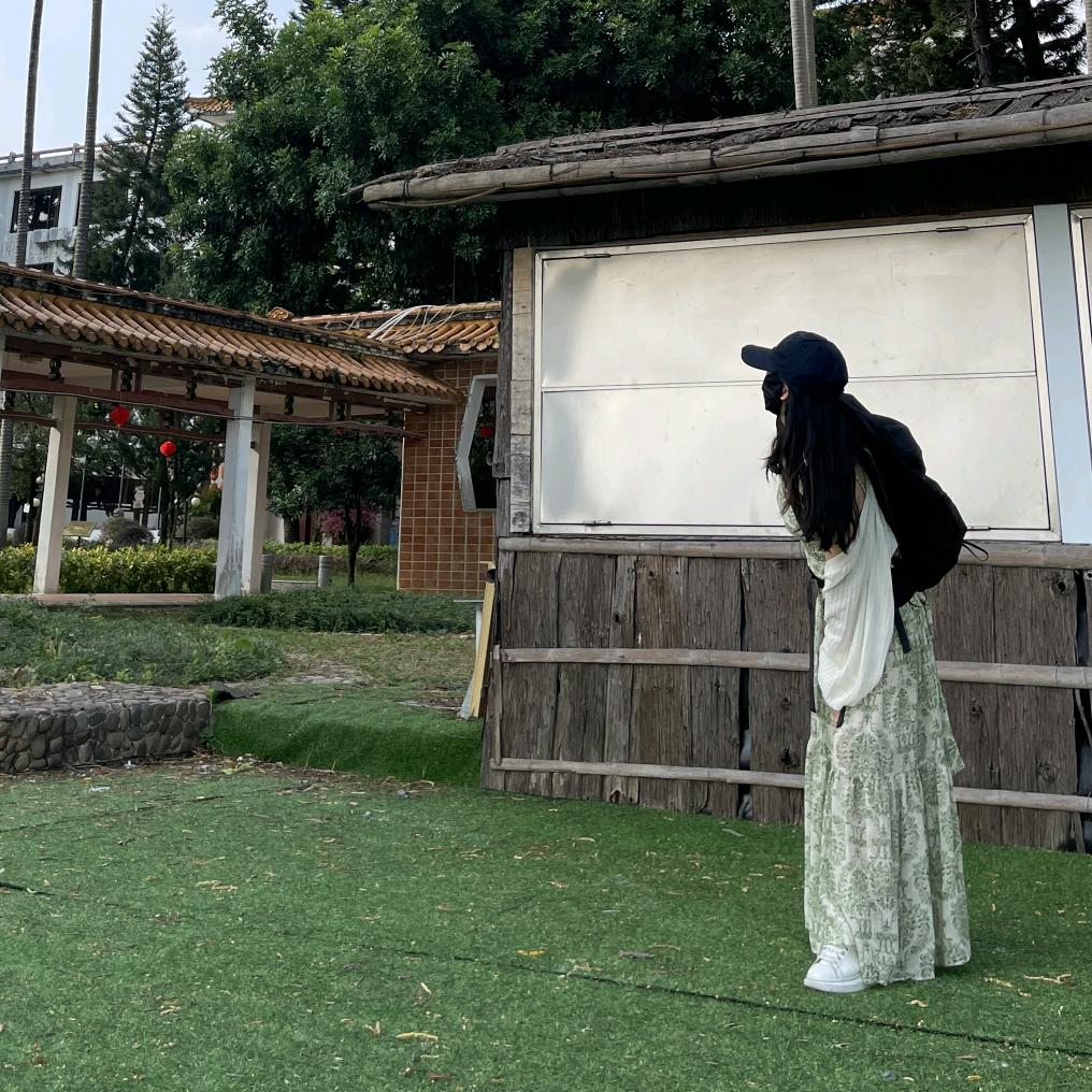 一碟菜菜(养成日记)