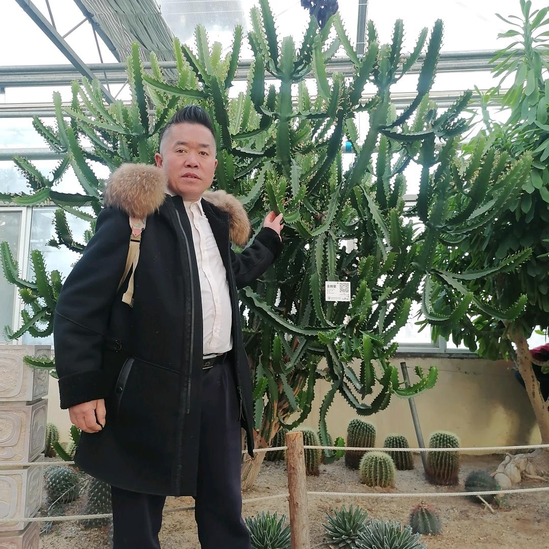 蕨菜哥