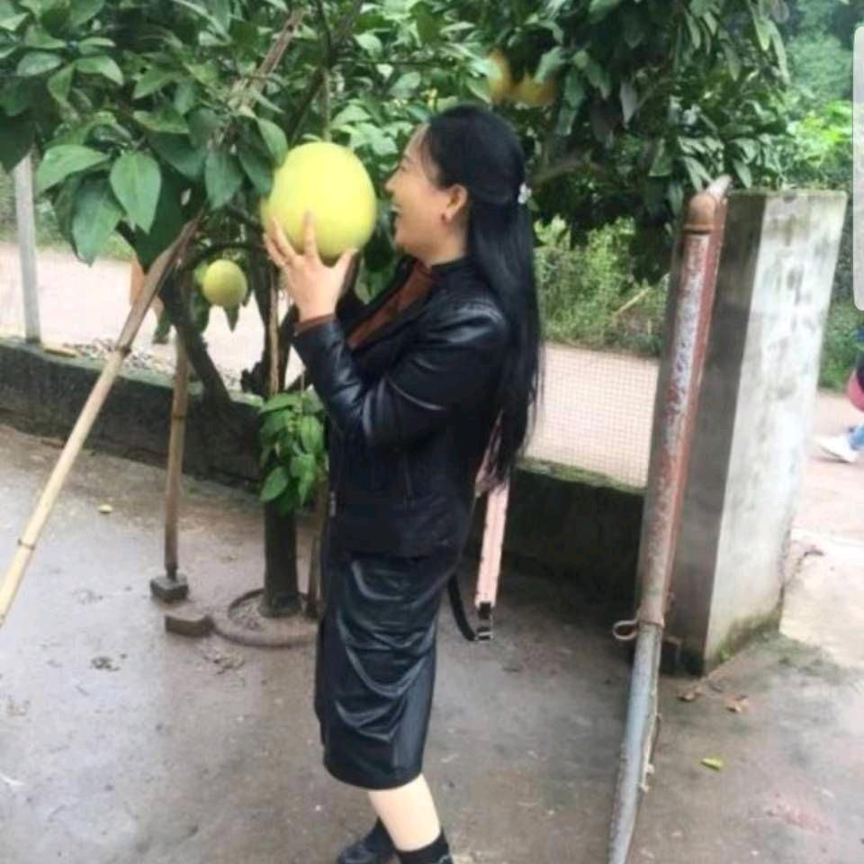 （婉儿）洛克干洗店