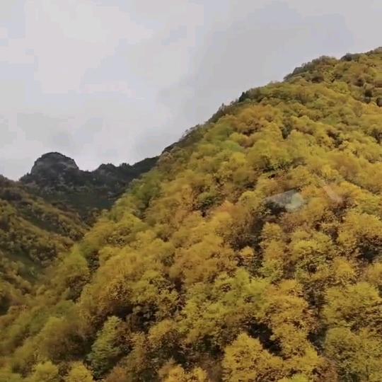 @云淡风清