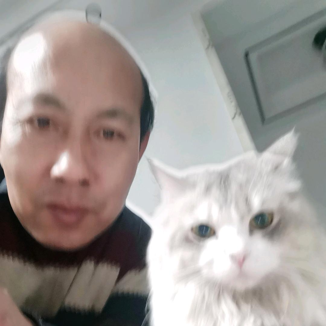文俊