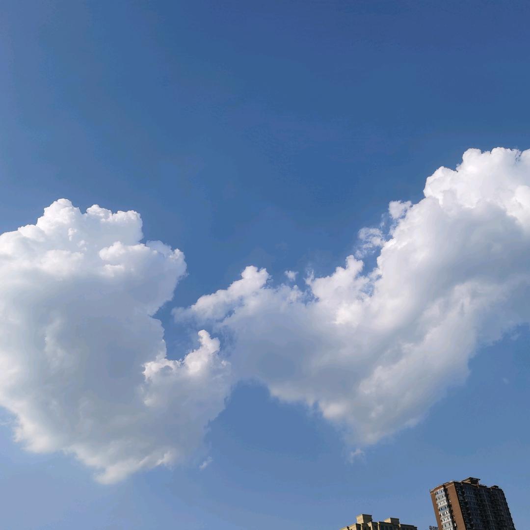 纪庆