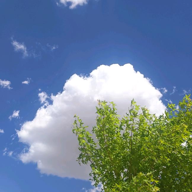 采油工的日常工作