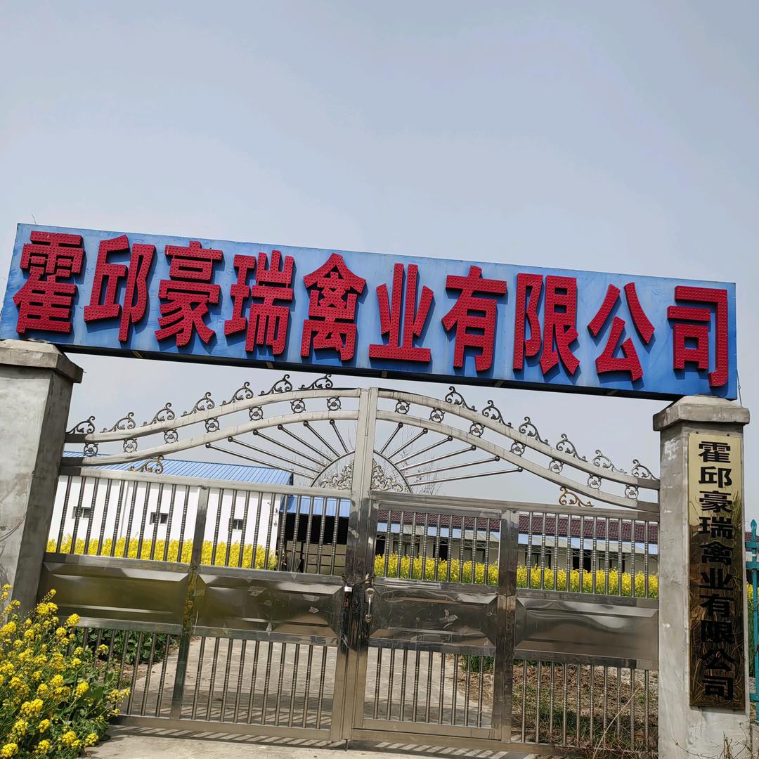 霍邱豪瑞禽业有限公司（薛业刚精品淮南土鸡