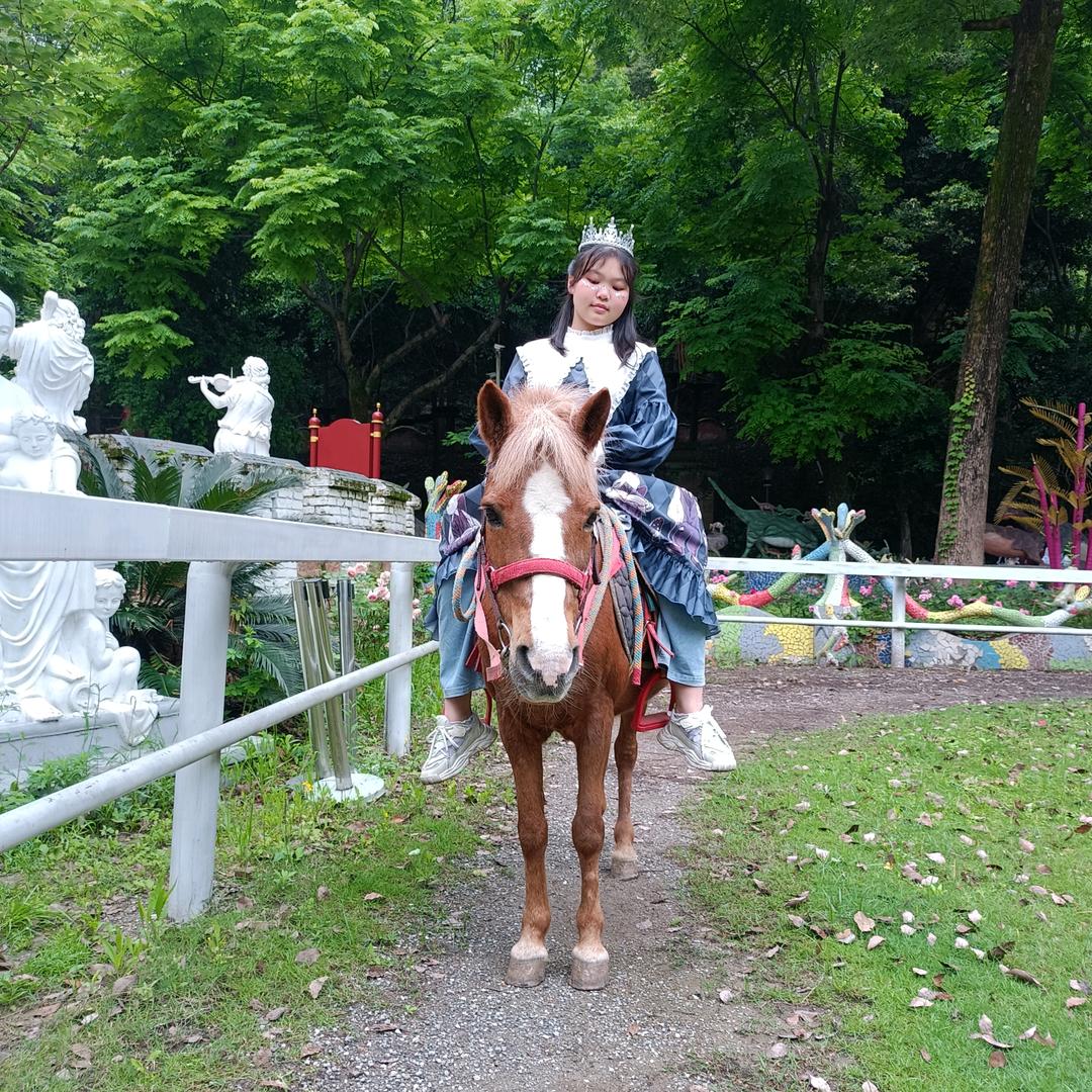 ✨嘟嘟妹✨