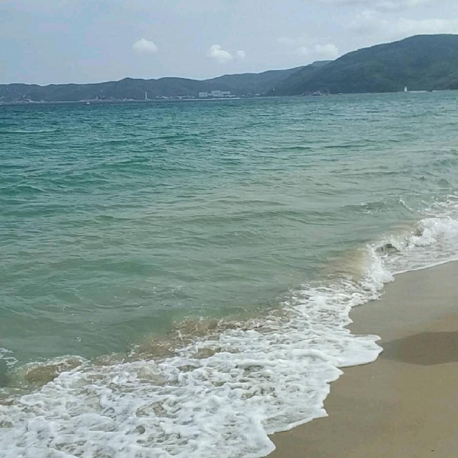 杨老师说