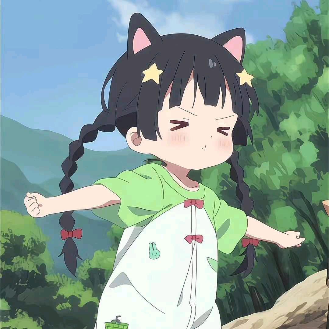 房屋的猫