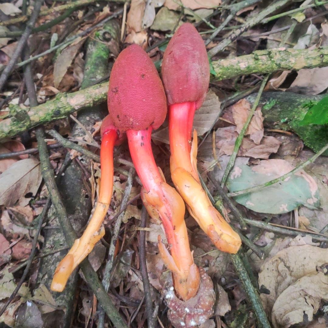 我的未来和你不顺路